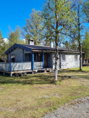Mysig timmerstuga Trillevallen, Åre kommun